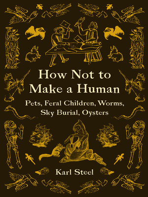 cover image of How Not to Make a Human